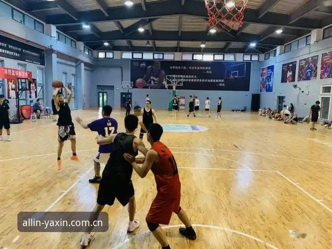 亚新综合体育YX登录教程：从下载到使用的完整操作指南